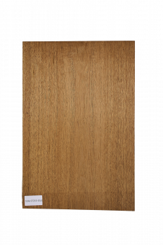 Body Mahagoni Swietenia, 1-tlg., Einzelstück #053